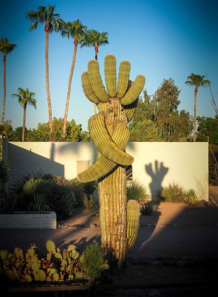 morning picdump 54 pics 18.html - 54 HD Photos | Premium Gallery 2015