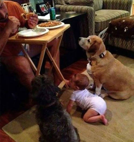 morning picdump 54 pics 18.html - 54 HD Photos | Premium Gallery 2015