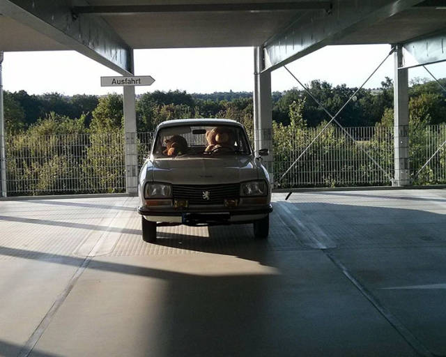 morning picdump 54 pics 18.html - 54 HD Photos | Premium Gallery 2015