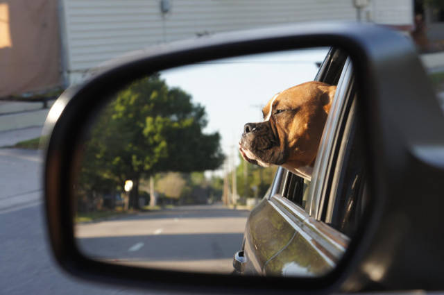 morning picdump 54 pics 18.html - 54 HD Photos | Premium Gallery 2015