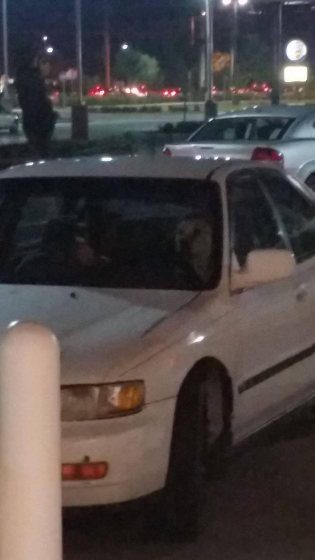 morning picdump 54 pics 18.html - 54 HD Photos | Premium Gallery 2015