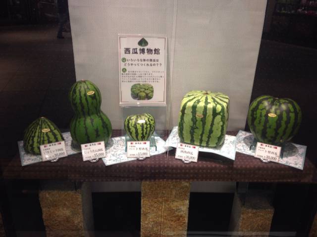 morning picdump 54 pics 15.html - 54 HD Photos | Premium Gallery 2015