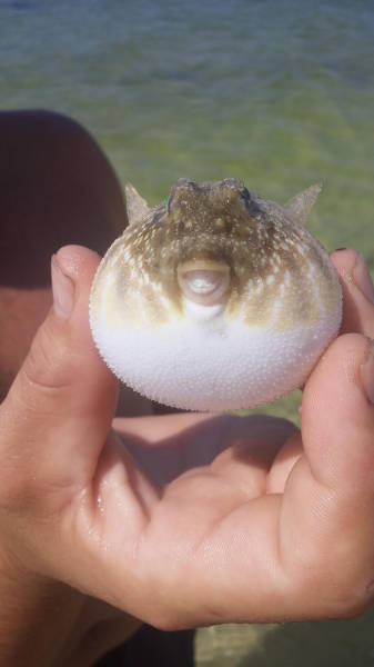 morning picdump 54 pics 15.html - 54 HD Photos | Premium Gallery 2015