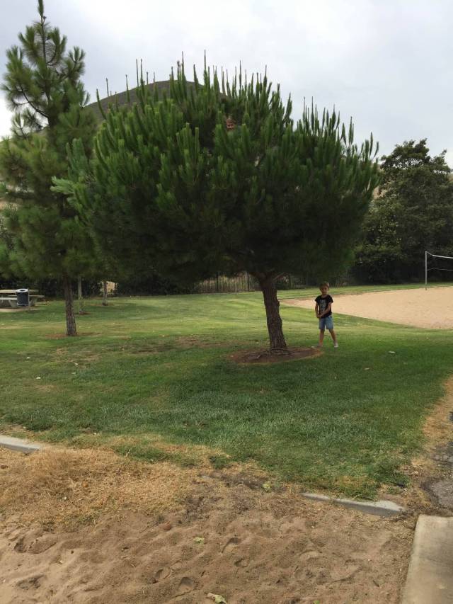 morning picdump 54 pics 15.html - 54 HD Photos | Premium Gallery 2015