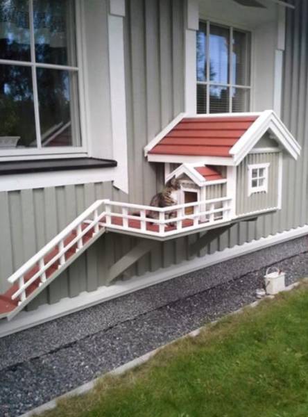 page,21,top 1500 daily pics of the year 2015.html - 1 HD Photos | Premium Gallery 2015