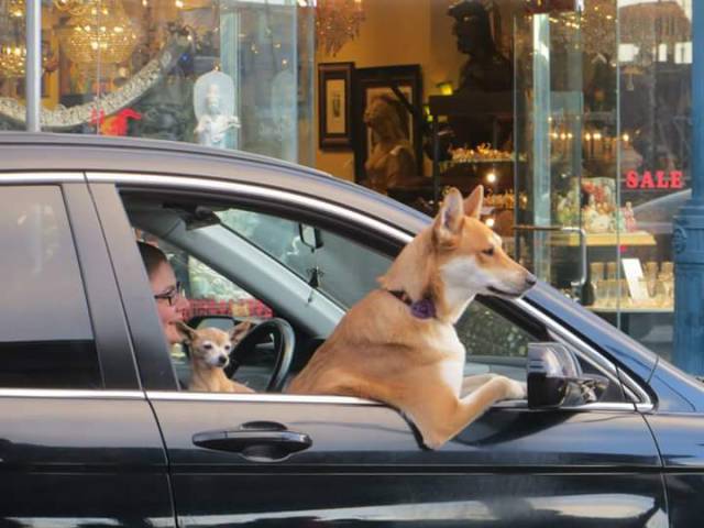 morning picdump 52 pics 10.html - 52 HD Photos | Premium Gallery 2015