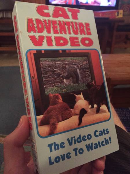 morning picdump 55 pics 5.html - 55 HD Photos | Premium Gallery 2015