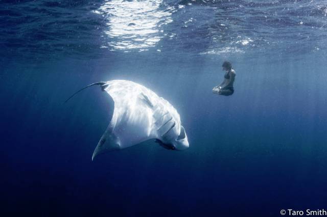 morning picdump 55 pics 5.html - 55 HD Photos | Premium Gallery 2015