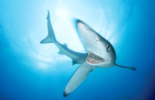 morning picdump 55 pics 5.html - 55 HD Photos | Premium Gallery 2015