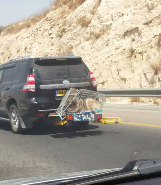 morning picdump 55 pics 5.html - 55 HD Photos | Premium Gallery 2015