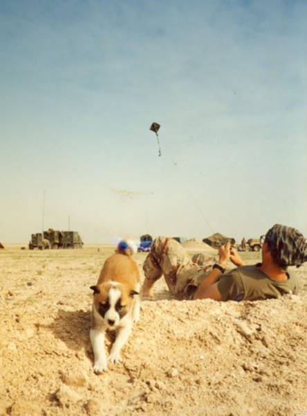 morning picdump 55 pics 5.html - 55 HD Photos | Premium Gallery 2015