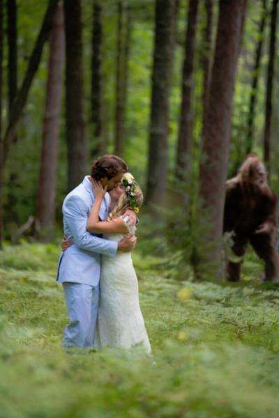 Morning Picdump