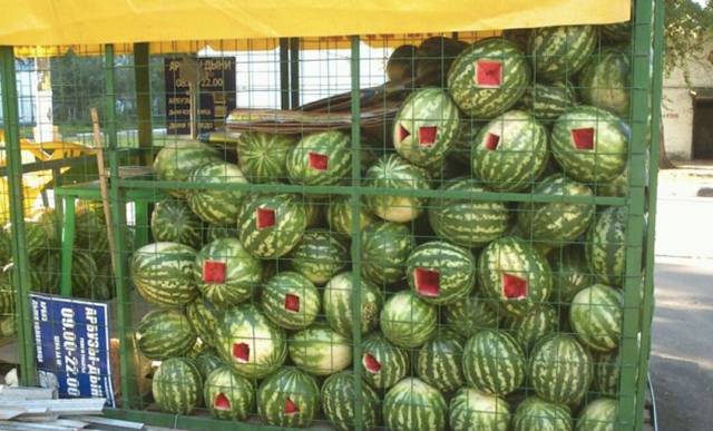 Morning Picdump