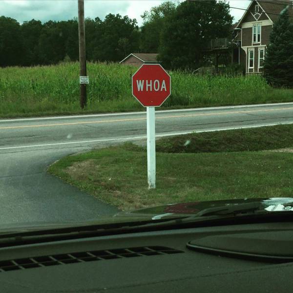 Morning Picdump