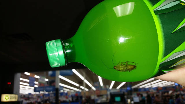 morning picdump 53 pics 7.html - 53 HD Photos | Premium Gallery 2015