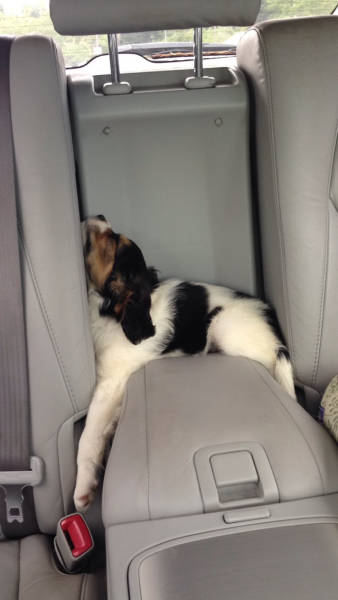 morning picdump 53 pics 7.html - 53 HD Photos | Premium Gallery 2015