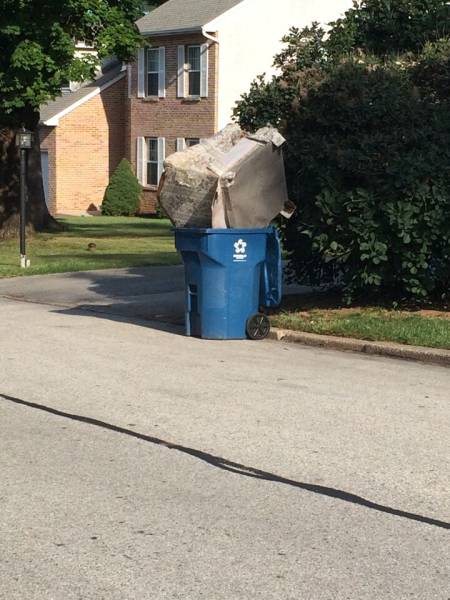 morning picdump 53 pics 7.html - 53 HD Photos | Premium Gallery 2015