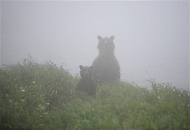 morning picdump 53 pics 7.html - 53 HD Photos | Premium Gallery 2015