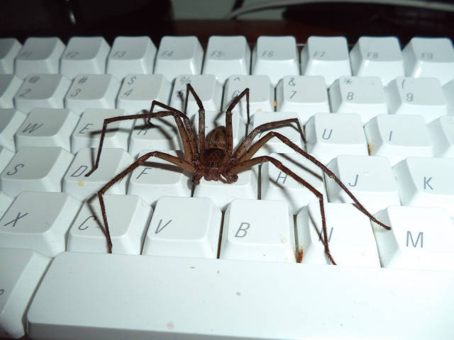 morning picdump 53 pics 51.html - 53 HD Photos | Premium Gallery 2015