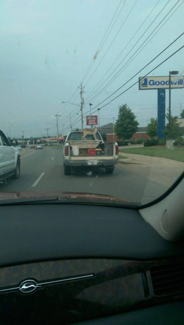 morning picdump 53 pics 51.html - 53 HD Photos | Premium Gallery 2015