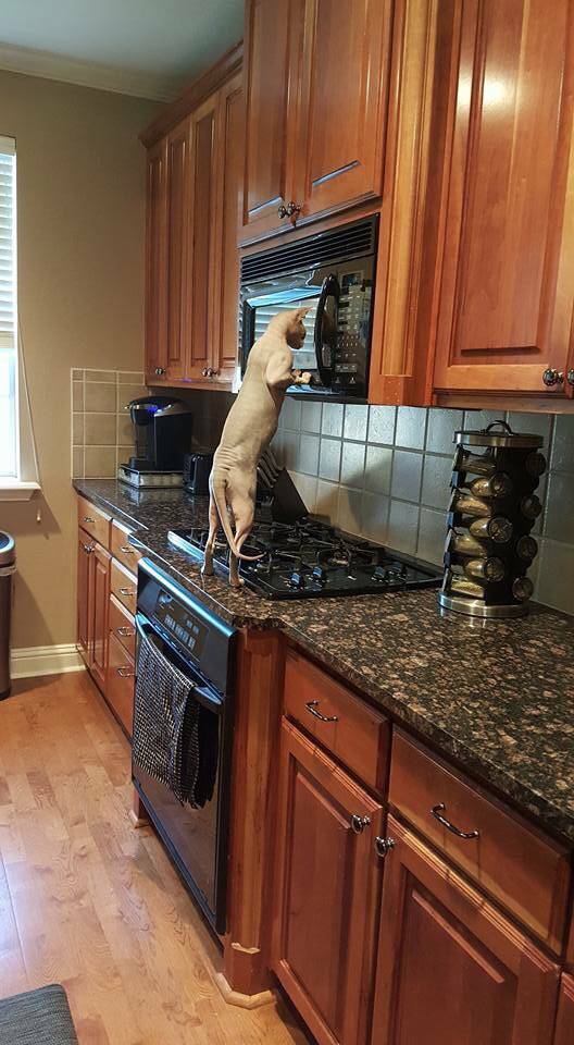 morning picdump 53 pics 51.html - 53 HD Photos | Premium Gallery 2015