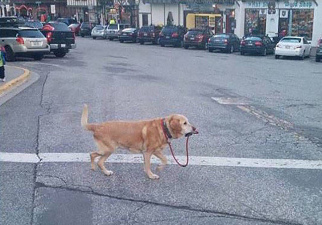 page,53,top 1500 daily pics of the year 2015.html - 1 HD Photos | Premium Gallery 2015