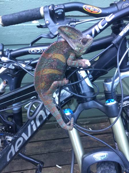 morning picdump 55 pics 21.html - 55 HD Photos | Premium Gallery 2015