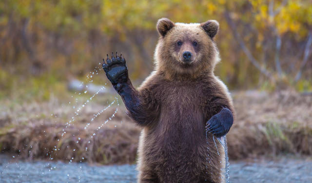 morning picdump 55 pics 21.html - 55 HD Photos | Premium Gallery 2015
