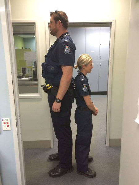 Morning Picdump