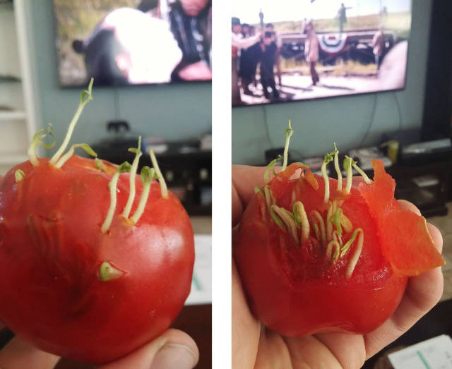 morning picdump 53 pics 15.html - 53 HD Photos | Premium Gallery 2015