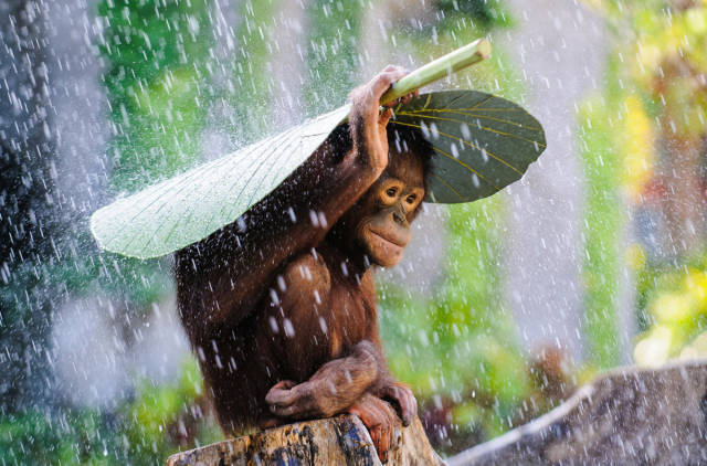 page,2,top 750 morning pics of the year 2015.html - 1 HD Photos | Premium Gallery 2015