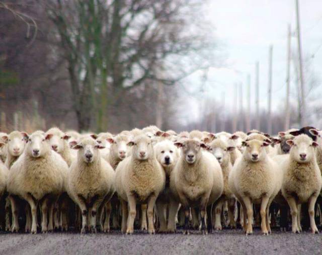 page,15,top 1500 daily pics of the year 2015.html - 1 HD Photos | Premium Gallery 2015