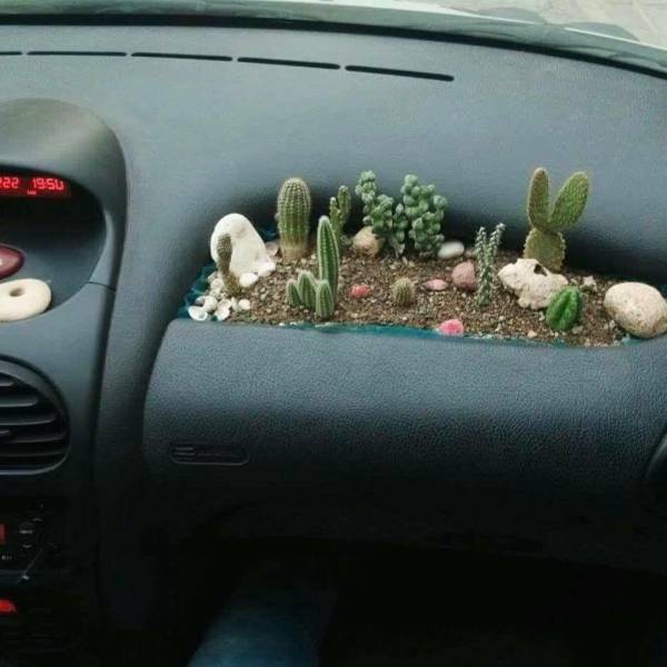 morning picdump 50 pics 25.html - 50 HD Photos | Premium Gallery 2015