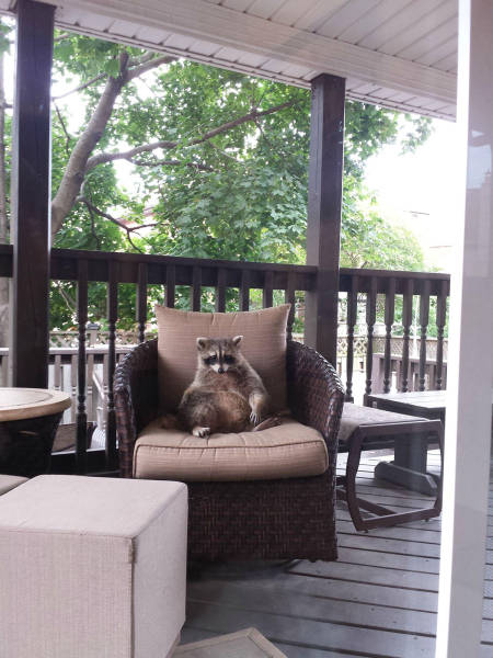 morning picdump 50 pics 25.html - 50 HD Photos | Premium Gallery 2015