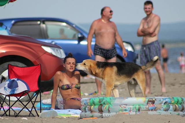 Morning Picdump