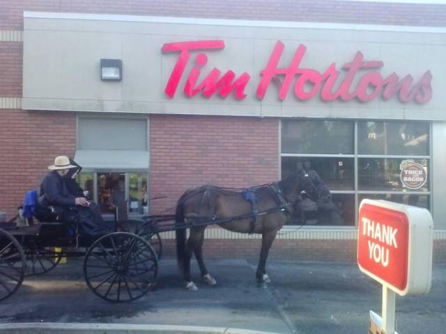 morning picdump 53 pics 12.html - 53 HD Photos | Premium Gallery 2015