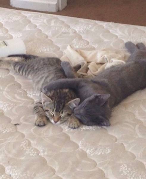 morning picdump 53 pics 12.html - 53 HD Photos | Premium Gallery 2015