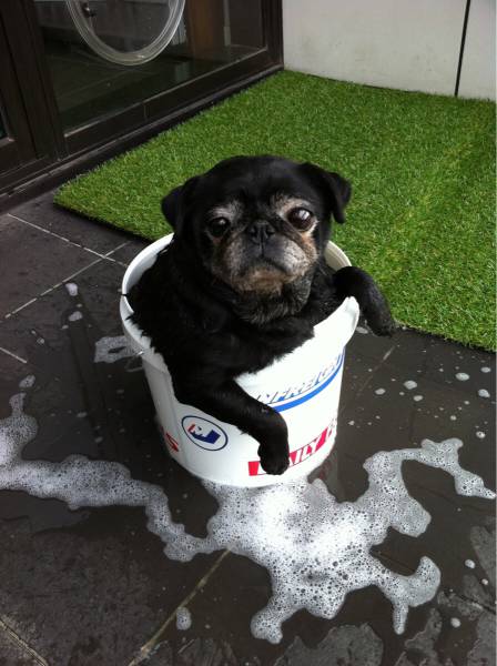 morning picdump 53 pics 12.html - 53 HD Photos | Premium Gallery 2015