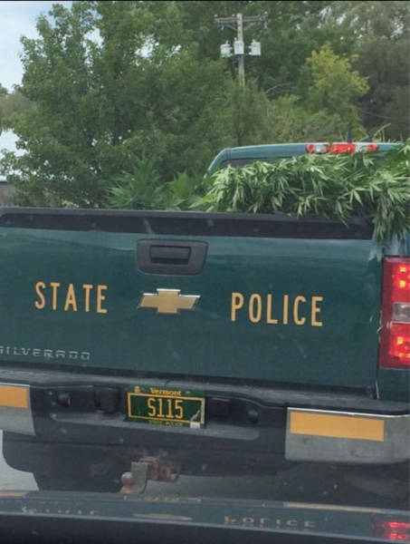 morning picdump 53 pics 12.html - 53 HD Photos | Premium Gallery 2015