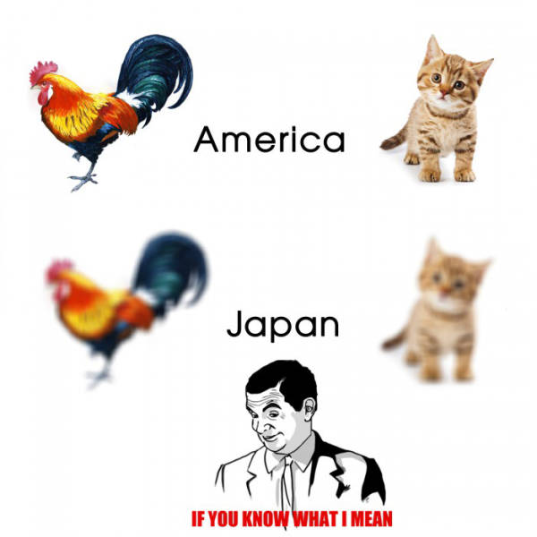 page,7,top 450 funny pics of the year 2015.html - 1 HD Photos | Premium Gallery 2015