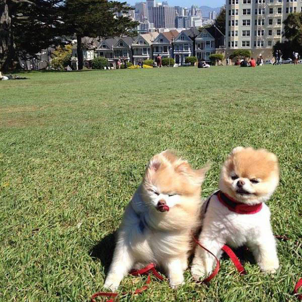 When Wind Is a Total Jerk