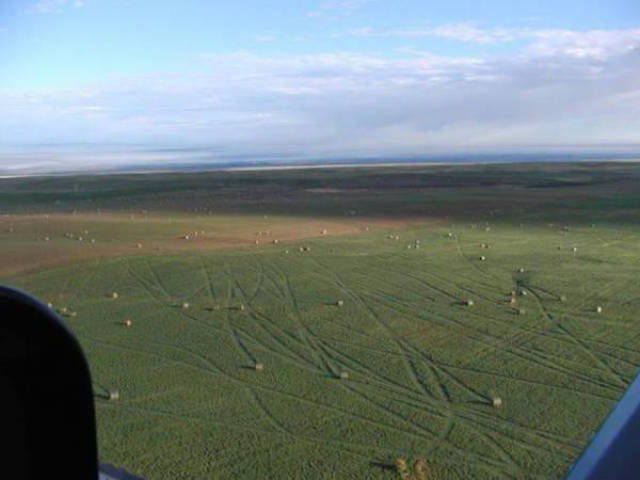 When Wind Is a Total Jerk