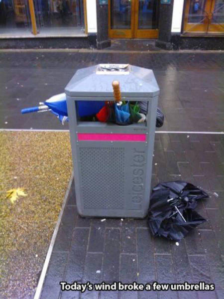 When Wind Is a Total Jerk