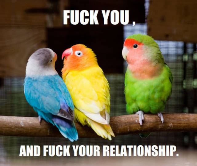 Funny Picdump