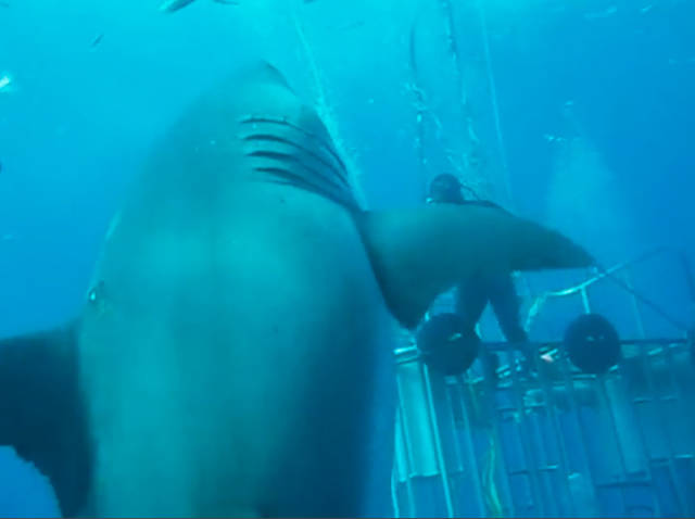 Some of the World’s Biggest Things Ever