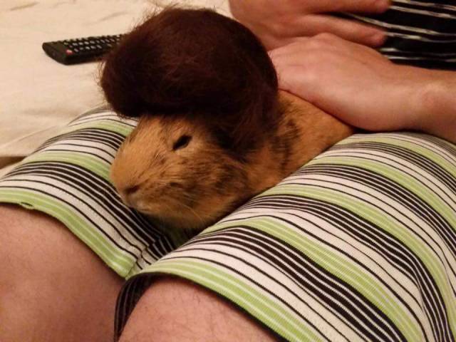 morning picdump 52 pics 6.html - 52 HD Photos | Premium Gallery 2015