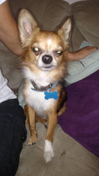 morning picdump 52 pics 6.html - 52 HD Photos | Premium Gallery 2015