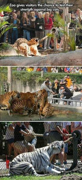 page,29,top 1500 daily pics of the year 2015.html - 1 HD Photos | Premium Gallery 2015