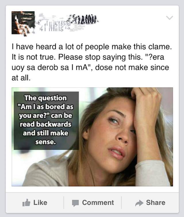 These People are the Epitome of Stupid