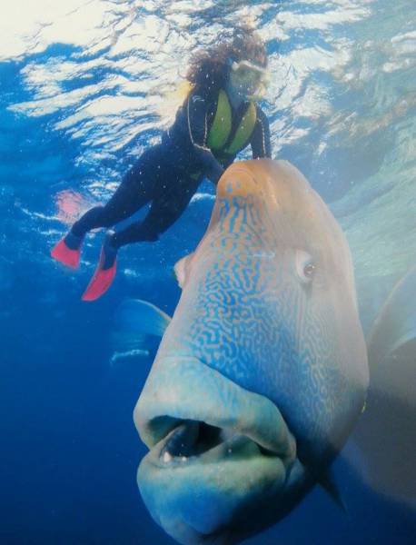 morning picdump 50 pics 45.html - 50 HD Photos | Premium Gallery 2015